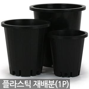 플라스틱 재배분(1P) - 화분 플분 양란 녹차 난화분 란화분 난재배분 양란화분 난재배 녹차재배분 긴화분