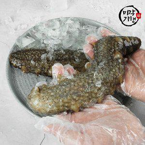 [미각기행][G]미각기행 통영 오도독 통 해삼 1kg(4-10미)