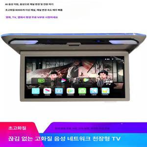 자동차 TV 천장 카라반 뒷좌석 카니발 스타렉스 A형 15인치 그레이 MP5 차량용