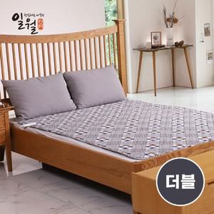 [E] 일월 스타일리쉬 워셔블 카본매트 더블 IW-KM59-ST