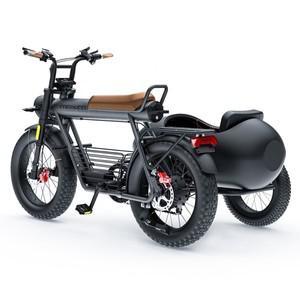 COSWHEEL CT20S/CT20 1000W 지방 타이어 전기 세발 자전거 사이드카 전자 운반 애완 동워터 3 륜 페달 보조