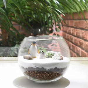 테마가 있는 나만의 다육 테라리움 DIY 만들기 키트_빙하를 찾아서