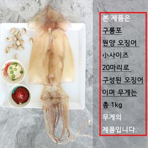 포항 구룡포 건조 오징어 20미 한축 원양 오징어 1kg