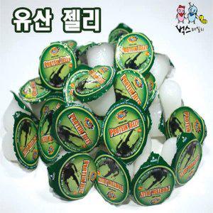 메가벅스 유산젤리 곤충젤리 곤충먹이 40개