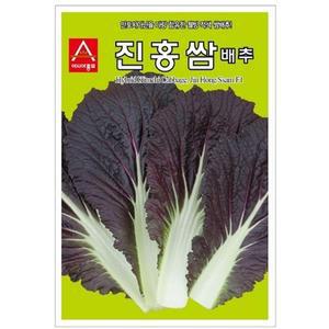 씨앗 쌈배추씨앗 진홍쌈 100립 적색 쌈배추 종자