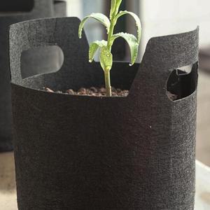 [JHP02T7U_51C2]가정용재배화분 5p세트 18x15cm 화분