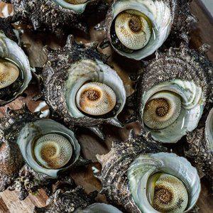 [오늘의바다] 오독오독 손질 뿔소라 400g (손질전 2kg)