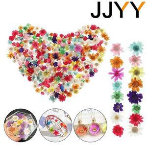건조기 탈수기 멀티 컬러 미니 말린 꽃 DIY 아트 공예 에폭시 제작 쥬얼리 홈 파티 장식 100