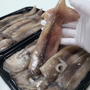 국내원양산 내장가득 급냉 자연산 통찜 오징어 1kg(15~20미) 1팩
