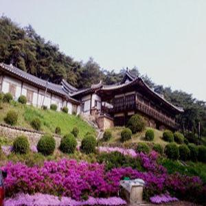 [경북 게스트하우스] 안동 이상루 고택 (안동(경북도청,하회마을))