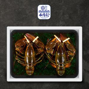 [씨토랑]프리미엄 활랍스터세트 라지 2미 2.0kg/마리당900-1 100g