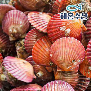 [해온수산] 국내산 홍가리비 20미내외 1kg