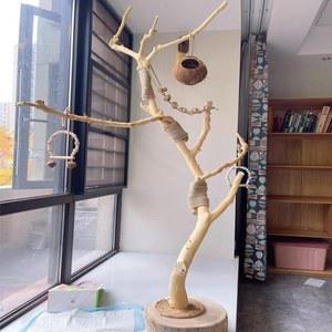 앵무새 놀이터 용품 횟대 리프트 횃대 놀이 70cm 모델 스탠딩 스탠드 은신처 좋은