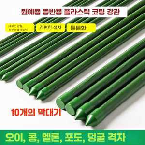 더큐브 오이지지대 지주대 고추지지대 텃밭용품