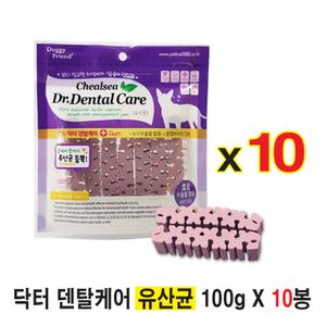 도기프렌드 첼시 닥터 덴탈케어 유산균 100g X 10봉 / 치석제거 강아지개껌