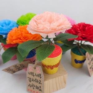 [HYIJXZ3N_4B]DIY 꽃 카네이션 메시지 화분 만들기 살구색