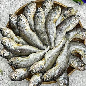 국내산 반건조 참조기 굴비 40미
