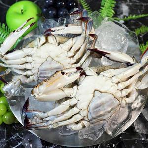 연평도 냉동 암꽃게 1kg 소 4-6미 연평도꽃게 서해꽃게 국산 냉동꽃게
