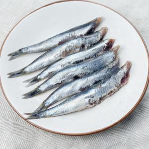 기장 생멸치 멸치회 찌게용/조림용 1kg