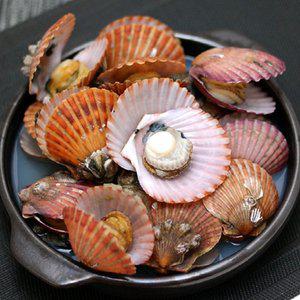 [미스터팜팜]당일채취 달달 가리비 홍가리비 2kg