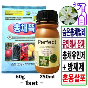 총채벌레 유인제 비료 퍼펙트 250ml+총채뚝 살충방제제 약 60g_1set 텃밭 화분 꽃 고추 상추 바이러스 예방