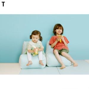 스투키 망고빈백