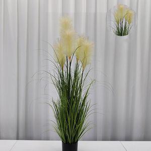 셀로아나 팜파스 120cm 조화