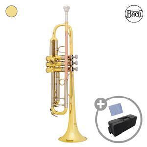 바하 트럼펫 Bach Trumpet TR501 / TR-501 한국정품