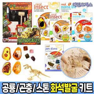 화석발굴 키트 DIY 재료 공룡 곤충 잼스톤 해양화석 태양계 행성 운석 관찰체험 과학준비물 체험키트 DIY 교육