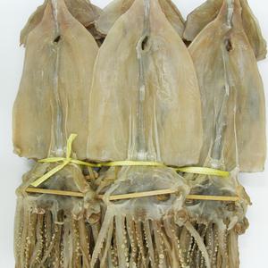 마른오징어 2.5kg(20미) 왕특대 건조오징어