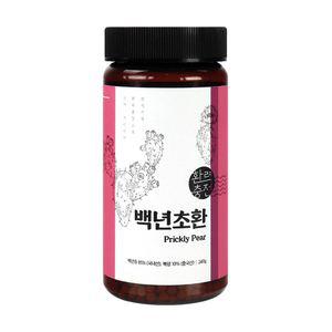 백년초 환