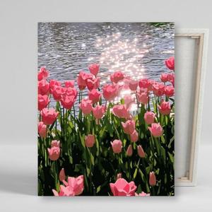 [BZJL8OD7_4C]DIY 페인팅 캔버스 물감 붓 세트 호수와 튤립