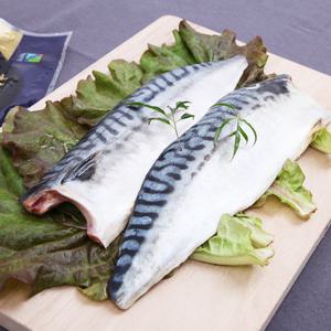 [haccp]복분자 고등어 선물세트 2kg (100g이상 14~16팩)