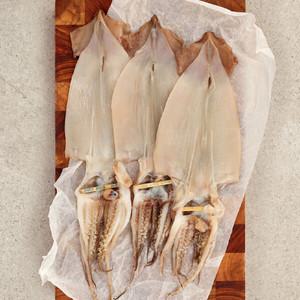 [수산대전20%쿠폰][오초록] 촉촉한 피데기 반건조 오징어 10미(900g∼1kg 내외)