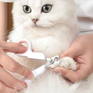 반려동물 고양이 강아지 위생 손톱 발톱깎이