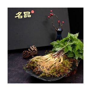 에코그램 새싹인삼 2년근 특대 20뿌리