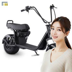 할리 전기스쿠터 팻 전동바이크 와이드 2인승 2000W 광폭타이어 고출력