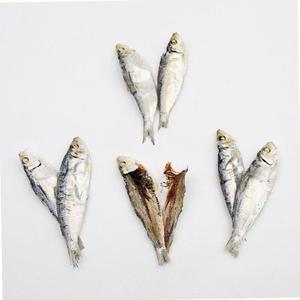 VB 밴댕이 식당용 육수내기 AA급 5-7 사이즈 1.5kg 1박스업소용 단체용 급식용 대용량 식자재