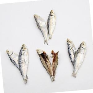 VB 밴댕이 식당용 육수내기 A급 5-7 사이즈 1.5kg 1박스업소용 단체용 급식용 대용량 식자재