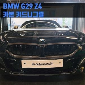 BMW G29 Z4 카본 키드니그릴