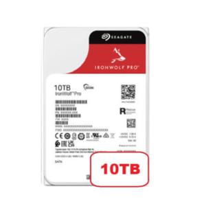 씨게이트 아이언울프 프로 10TB 하드디스크 NAS용