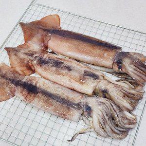 국내산 초코오징어 1kg