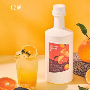 네이쳐티 감귤 한라봉 제주상큼하르방에이드 스무디 음료베이스 1.2kg / 1병