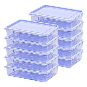 데일리블룸 냉동실 밀폐용기 냉동밥 보관 반찬통 냉장고 정리 용기 10P