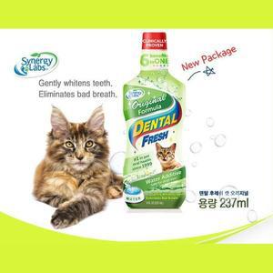 [기타]애완묘 치아 치석관리 고양이 액상치약 입냄새관리