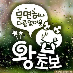 자동차스티커 무면허왕초보 쁘띠 초보운전 반사/초보/스티커/카/자동차/외부/차량/차랑용/글씨/문구/시트지