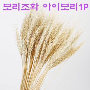 보리조화 황금보리 가을 장식 인테리어 소품 아이보리1P