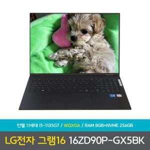 LG전자 그램16 16ZD90P-GX5BK 가성비 노트북 DD