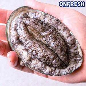 [NS홈쇼핑]완도활전복 특특대 1kg 9-10미(미당100g내외) [산소팩, 무료배송]..[33822390]