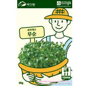 아시아종묘 씨앗 새싹 무순 1kg